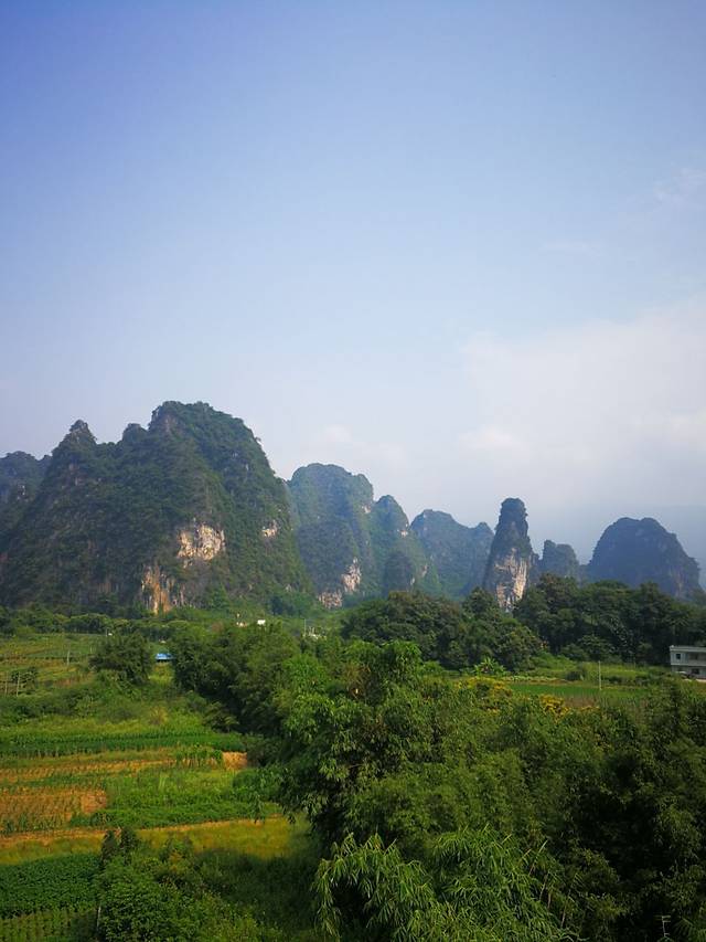 梯面沙糖桔山庄