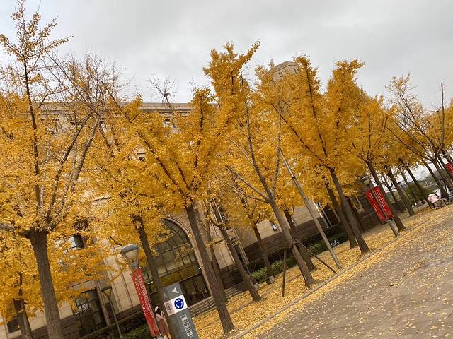 复旦大学江湾校区