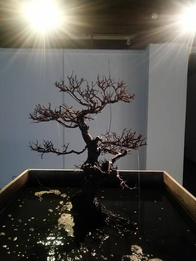 上海多伦现代美术馆