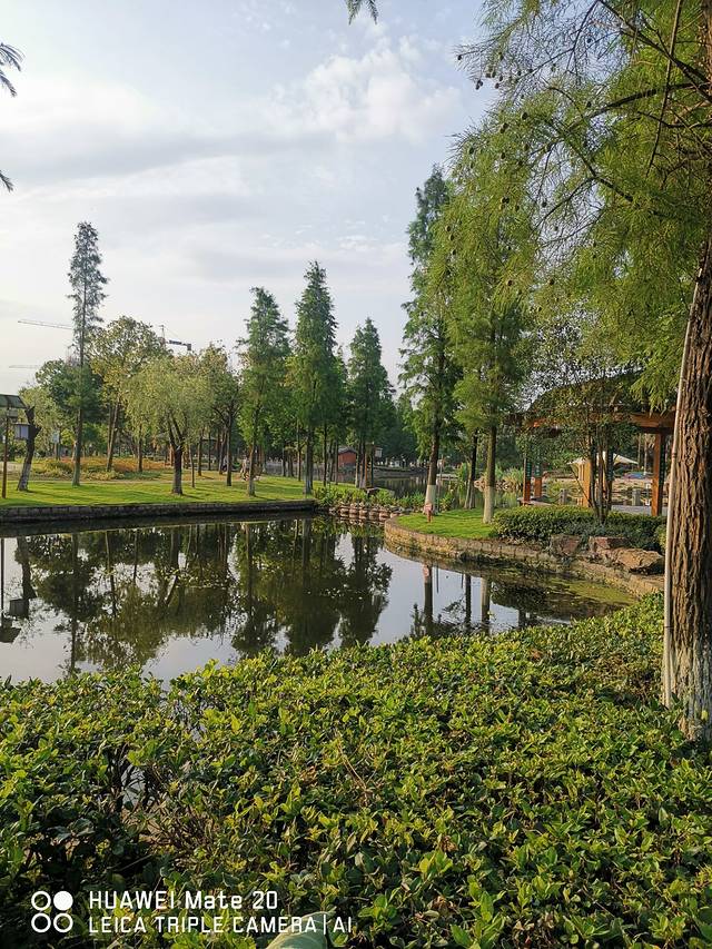 河泥荡公园北门自行车租凭店