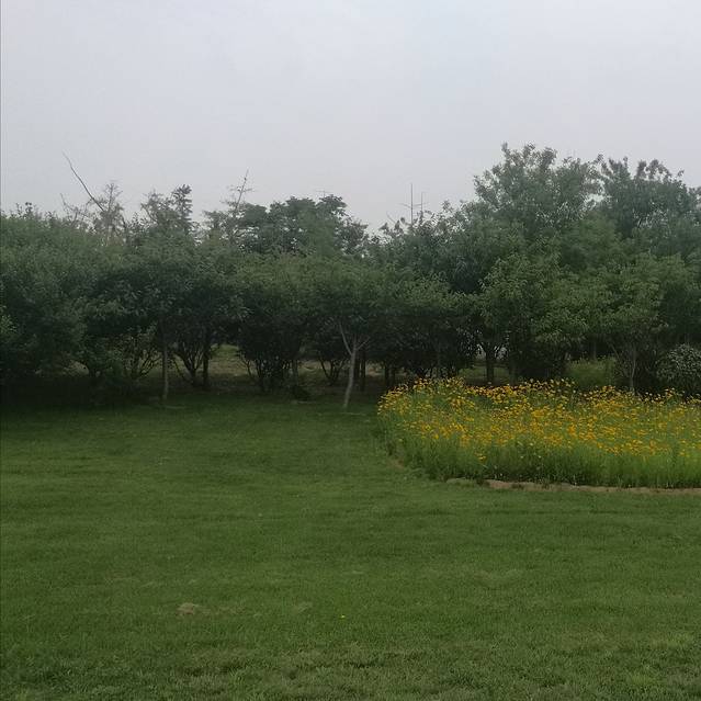 南京固城湖国际垂钓休闲有限公司