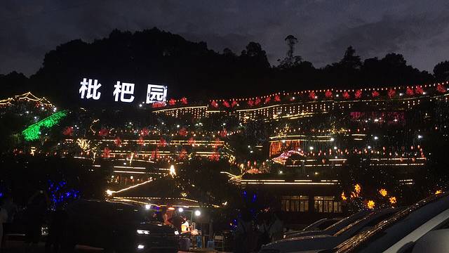 枇杷园食为鲜火锅(花都大道店)