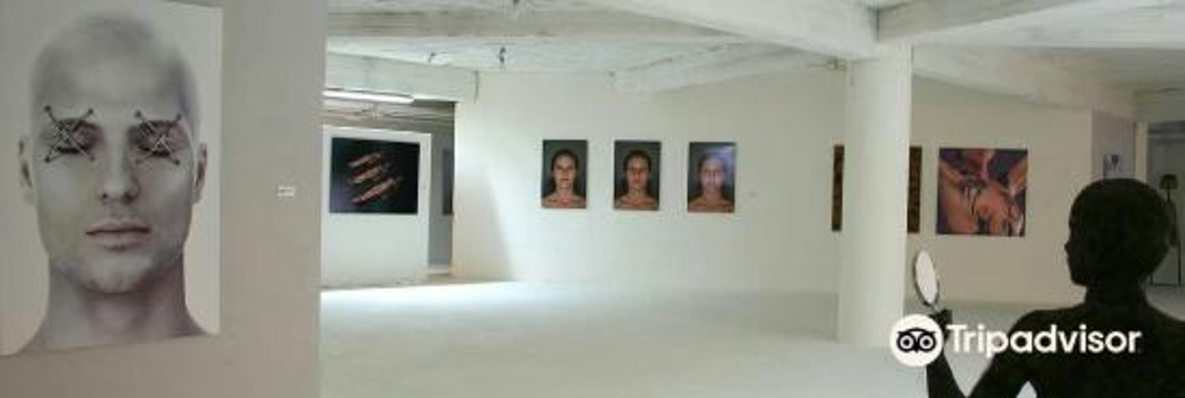 CAM Casoria Contemporary Art Museum旅游景点图片