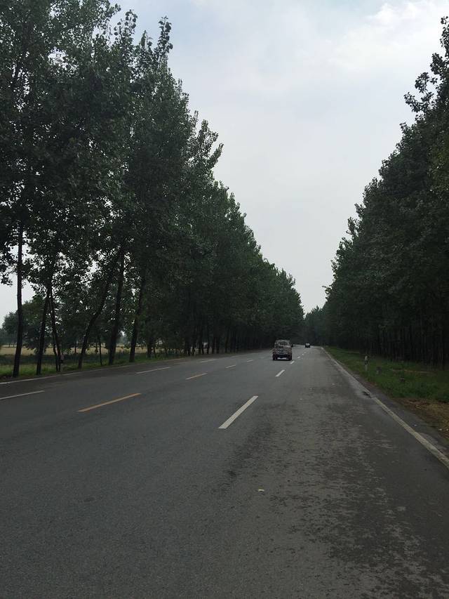 利辛县烈士陵园