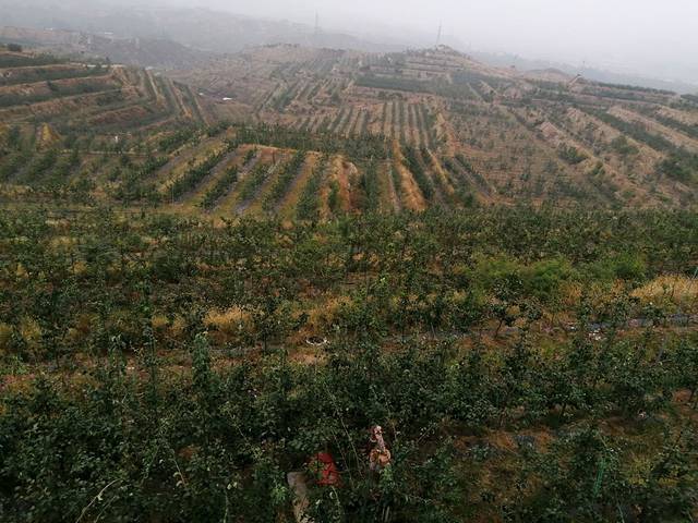 阜平县海沿村丽景水岸生态园