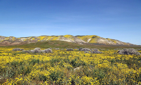 Carrizo Plain National Monument旅游景点图片
