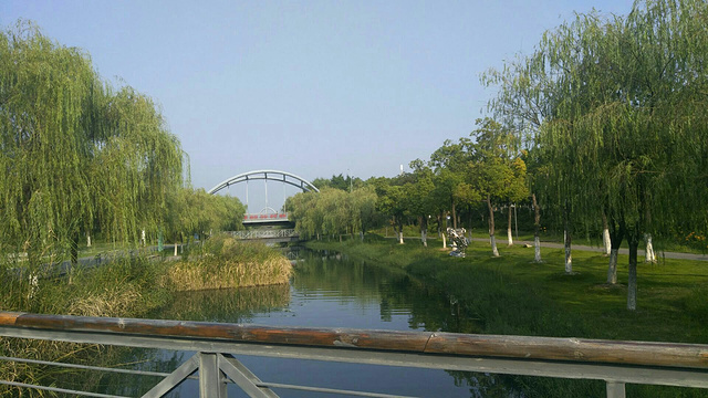 中江公园旅游景点图片