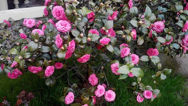 肇庆城东公园-游乐场