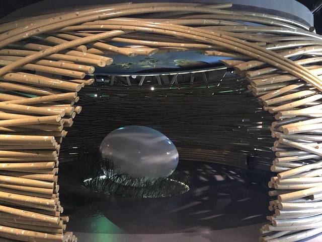 黄河三角洲鸟类博物馆