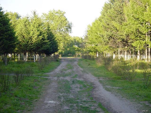 世界石油文化公园