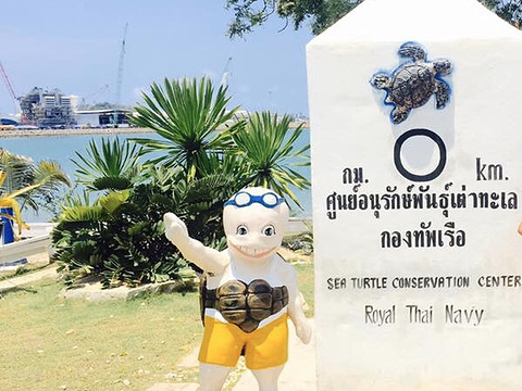 Royal Thai Navy Sea Turtle Conservation Center旅游景点图片