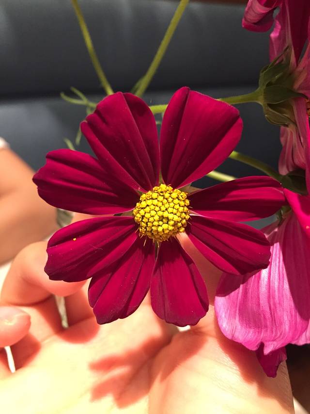 纽约国际儿童俱乐部（五棵松卓展购物中心）