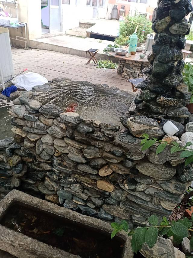 蒙山农家院正宗炒鸡店