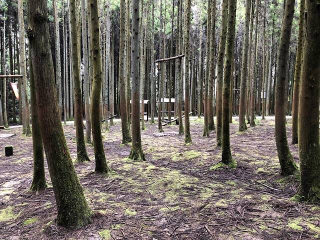 (重庆黄水旅游度假区)毕兹卡绿宫