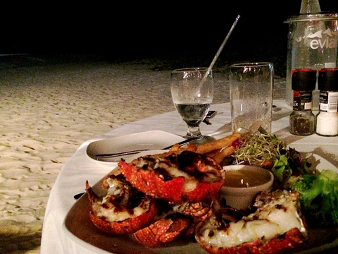 Lobster Alive的图片