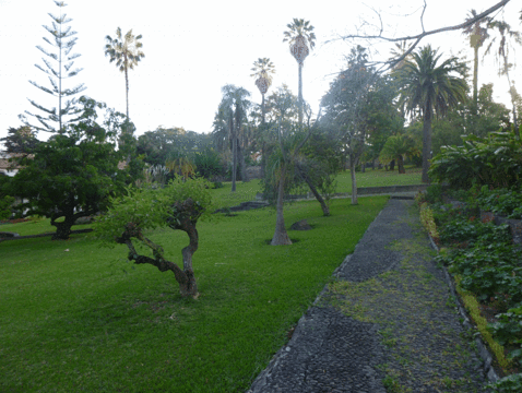 Quinta Magnolia Gardens