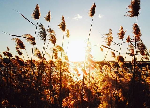 宛平湖休闲广场