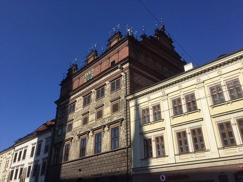 Renaissance Town Hall旅游景点图片