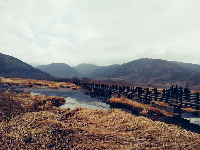 叮当儿童剧院(浦东新舞台店)