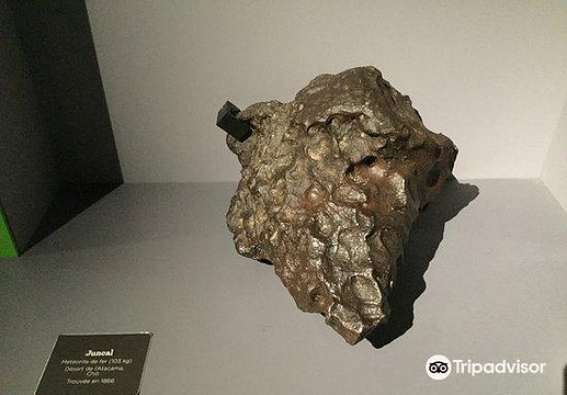 Musee de Mineralogie旅游景点图片