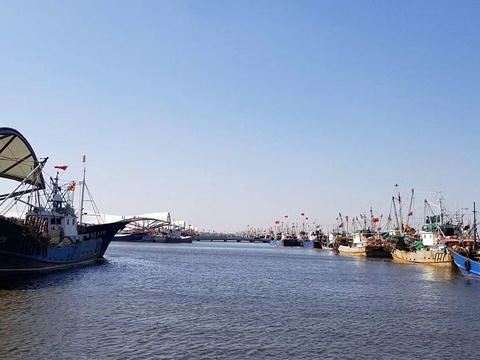 吕四国家中心渔港旅游景点图片