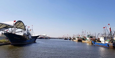 吕四国家中心渔港的图片