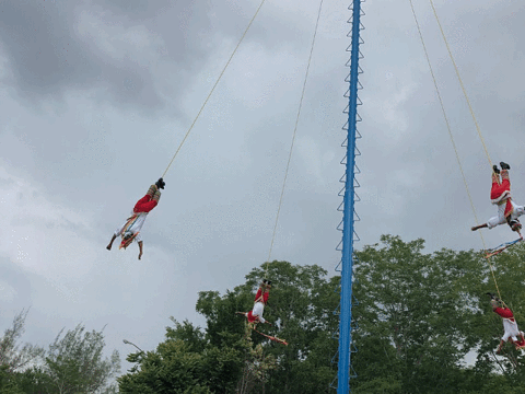 Los Voladores of Papantla旅游景点图片