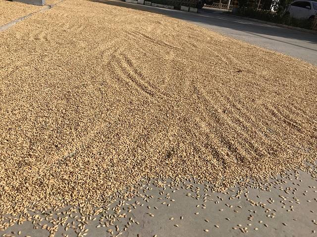 海宁市兴福禅寺