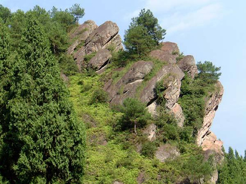 猴山旅游景点图片