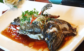 同乐舫(学院路店)