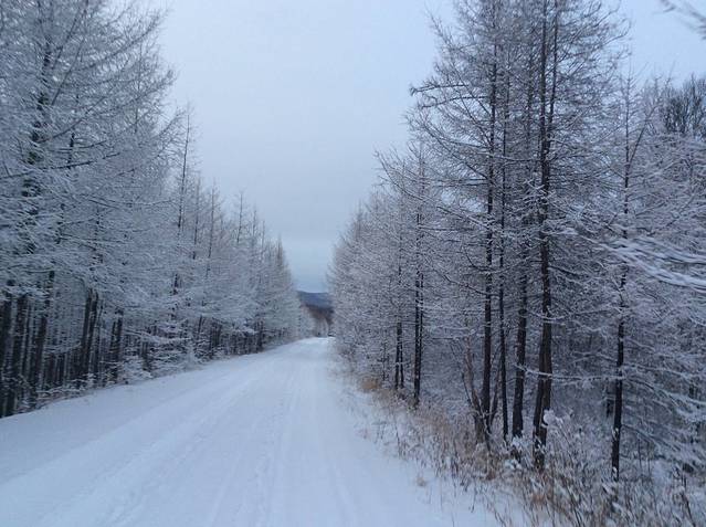 布冬霞部落猎民点