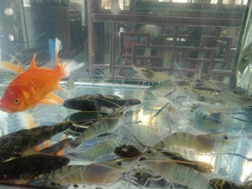 三元楼(周庄店)