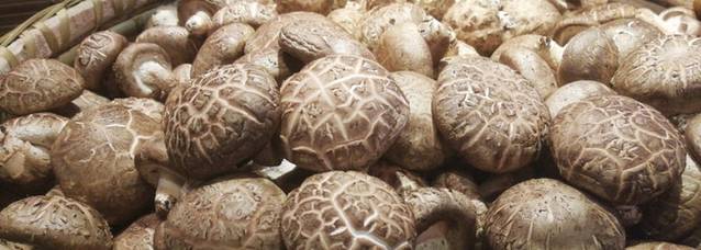 建西大灶台(东安路店)