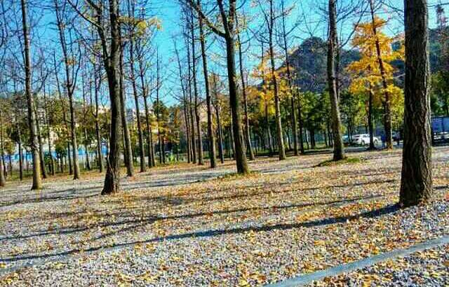 明湖国家湿地公园