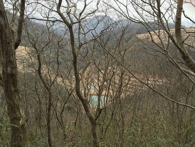 鄞州区慧日禅寺