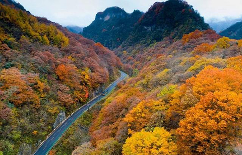 光雾山旅游景区旅游景点攻略图