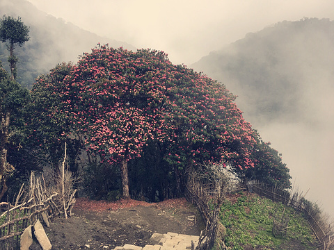 Annapurna Mountain Range旅游景点图片