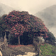 Annapurna Mountain Range