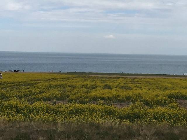 青海湖藏族民俗博物馆