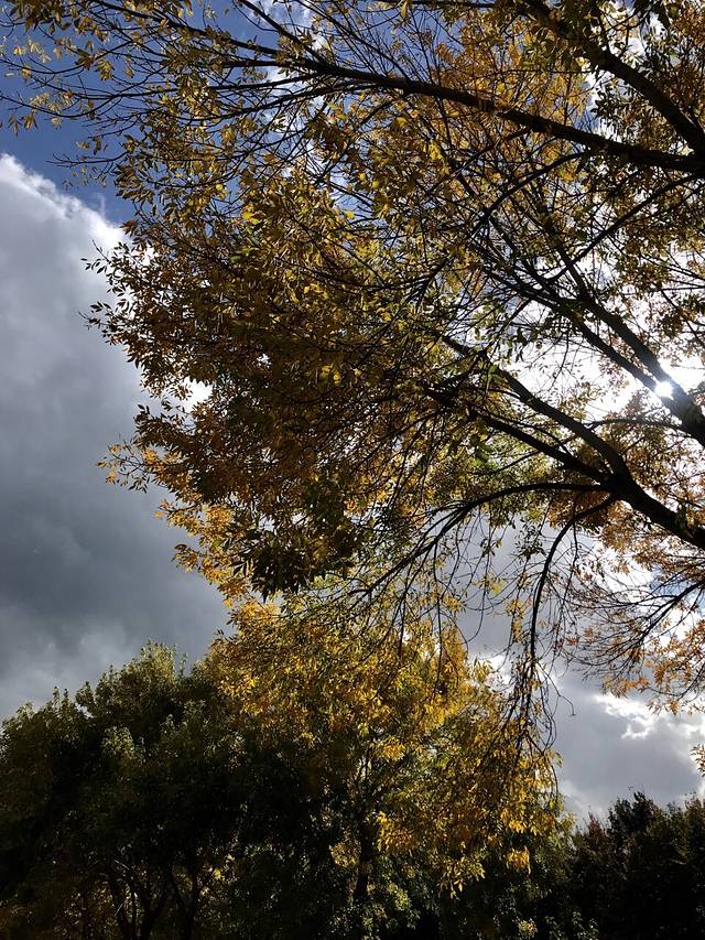 烟台前七夼农贸市场