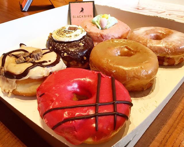 Blackbird Doughnuts