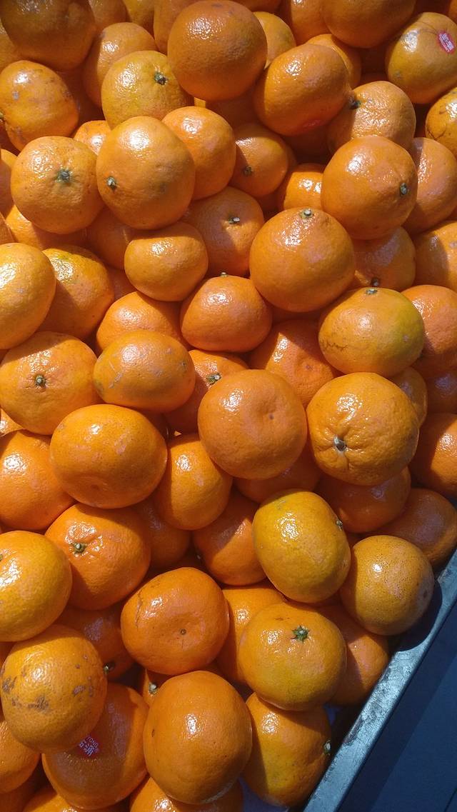 百果园(博悦兰庭店)