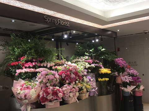 SpringFlorist(上海国金中心商场店)旅游景点图片