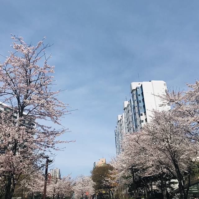 九龙城购物中心