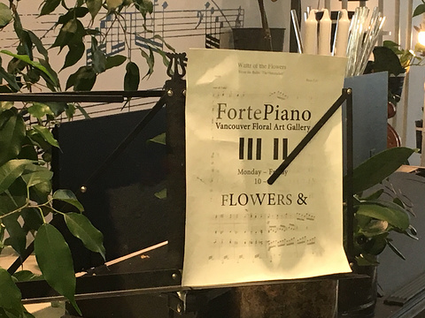 FortePiano Vancouver Floral Art Gallery旅游景点图片