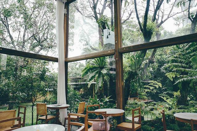 Patom Organic Living