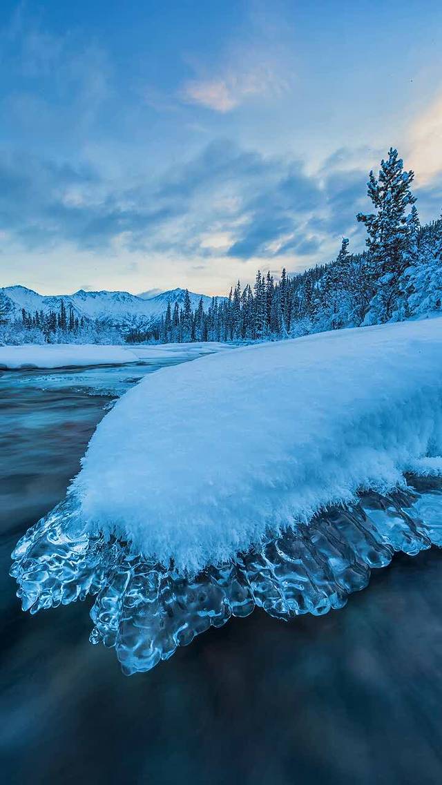 紫燕百味鸡(南通川港店)