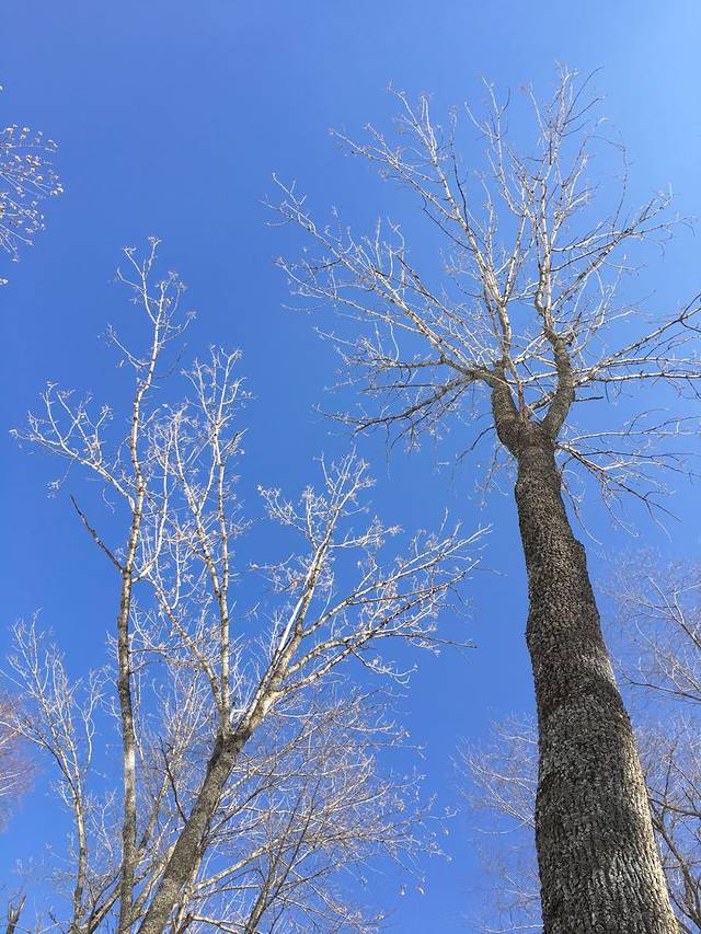佛库伦雪圈公园