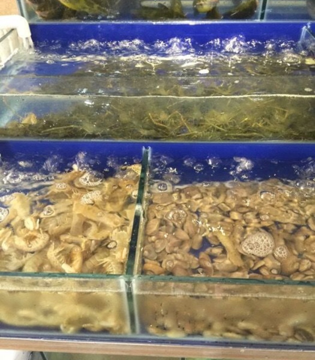 大碗厨特色餐厅(马山店)