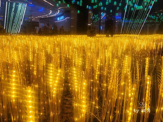 上海老佛爷百货